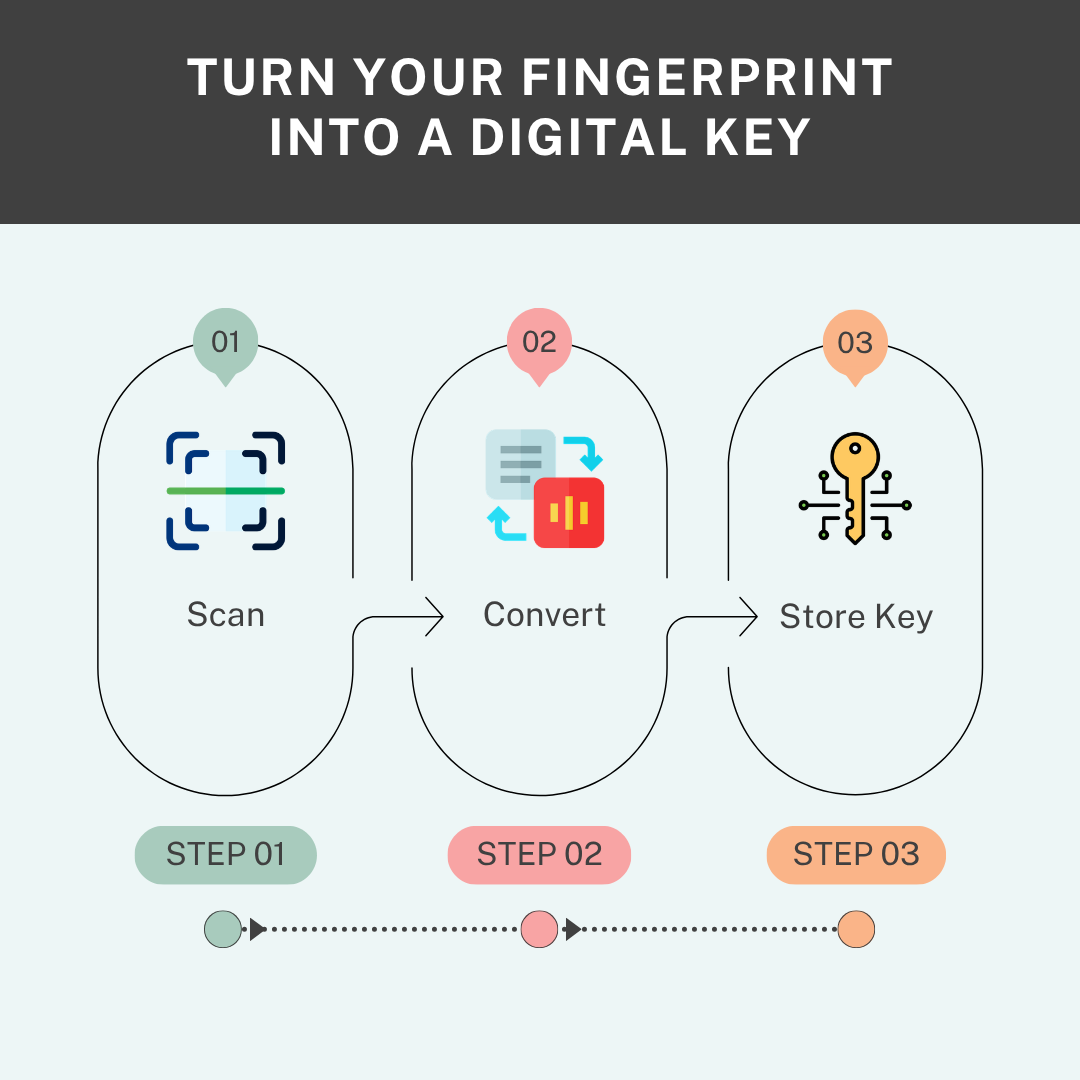3-step process: Fingerprint scan, mathematical transform, and secure vault storage