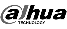 dahua